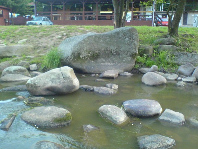 Photograph